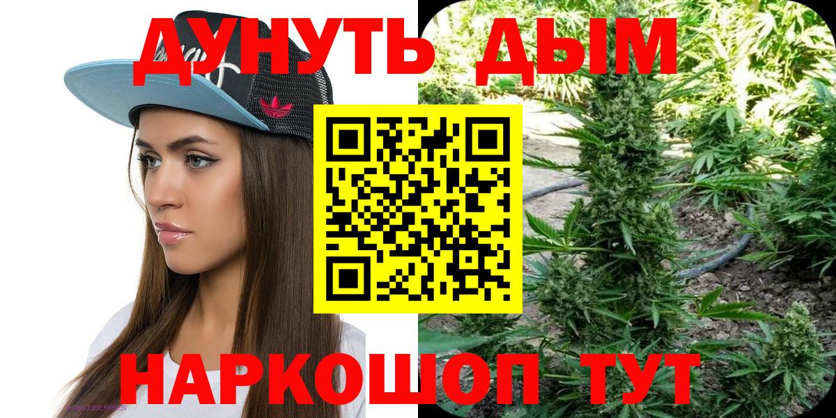 Златоуст  Канабис планчик  Бошки марихуана марихуана  Вход с VPN  Бошки Шишки SATIVA & INDICA 